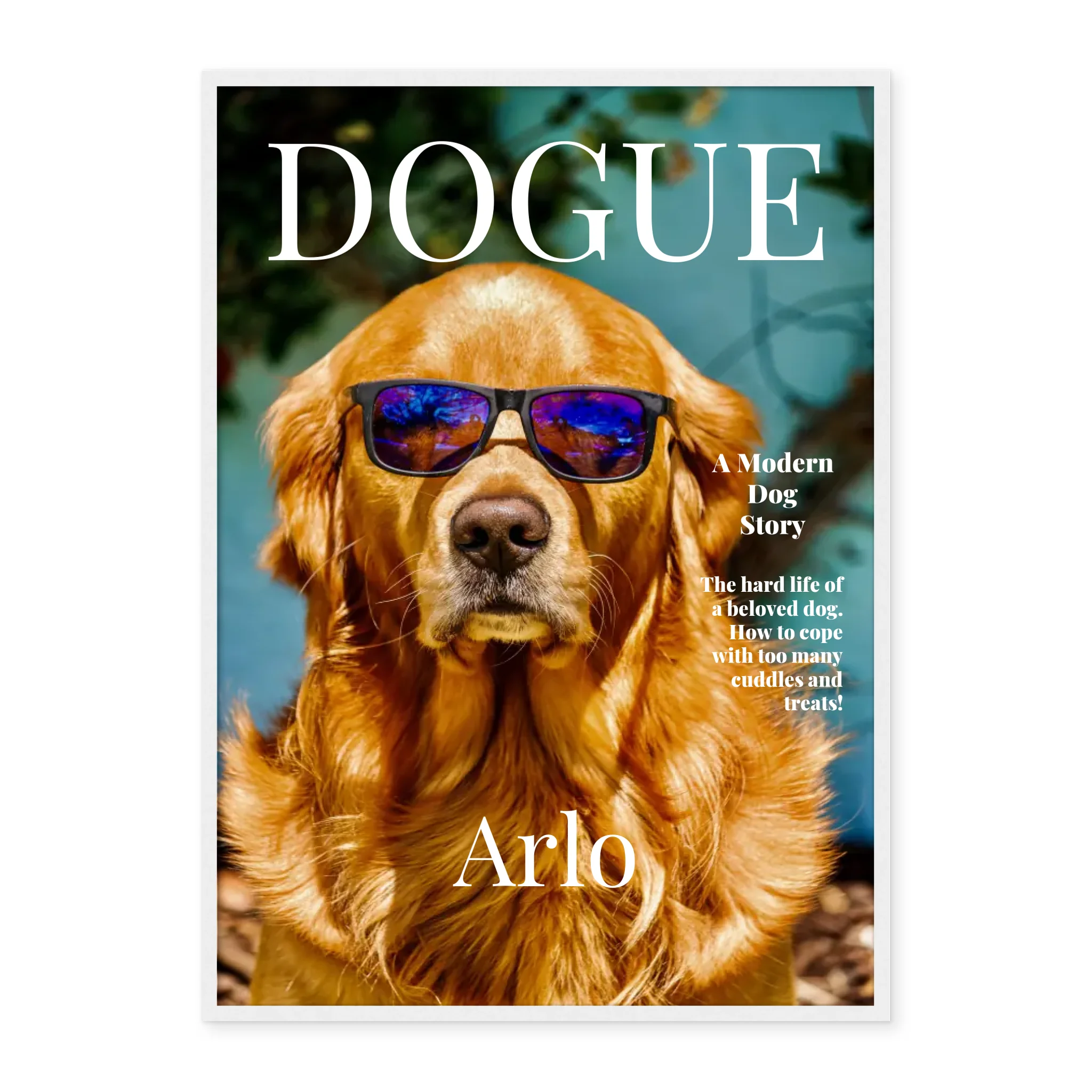 Dogue