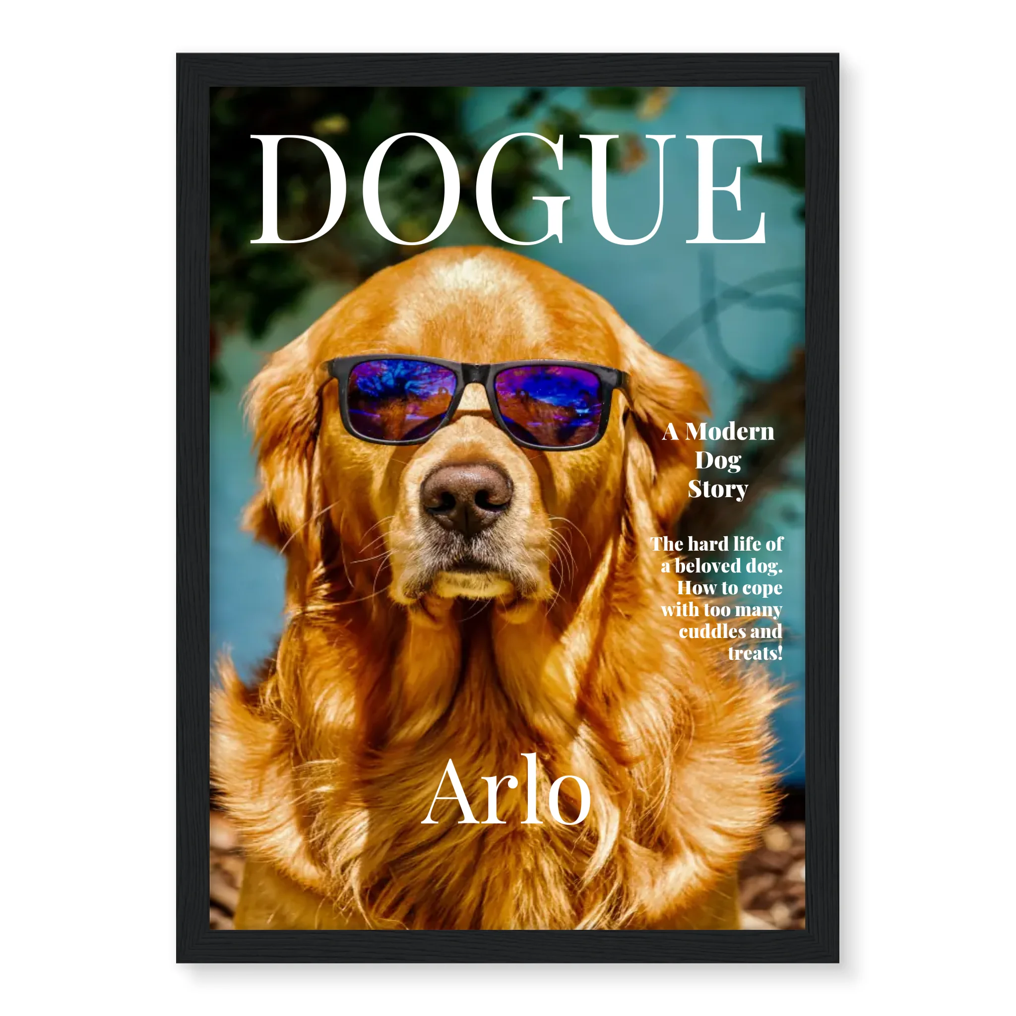 Dogue