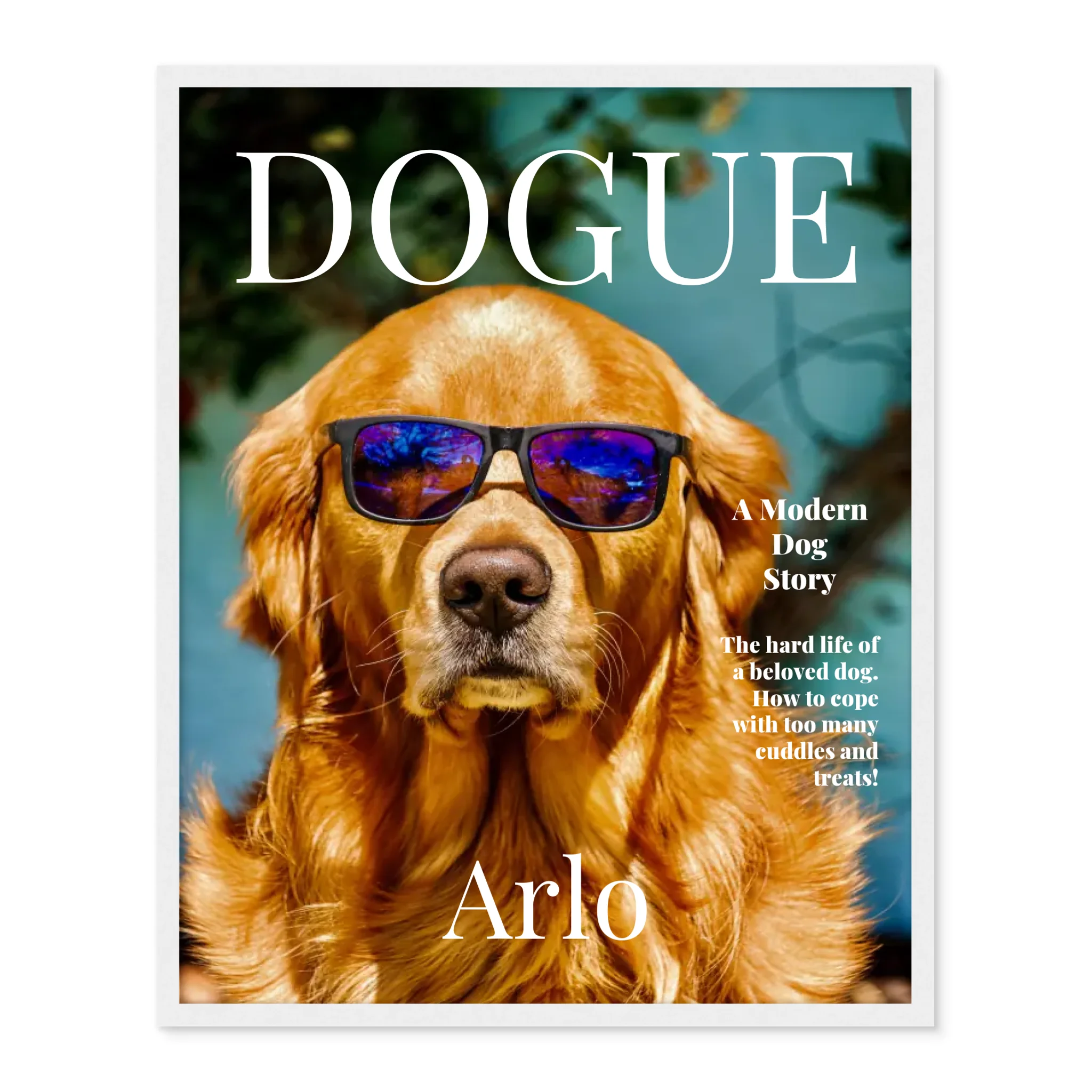 Dogue