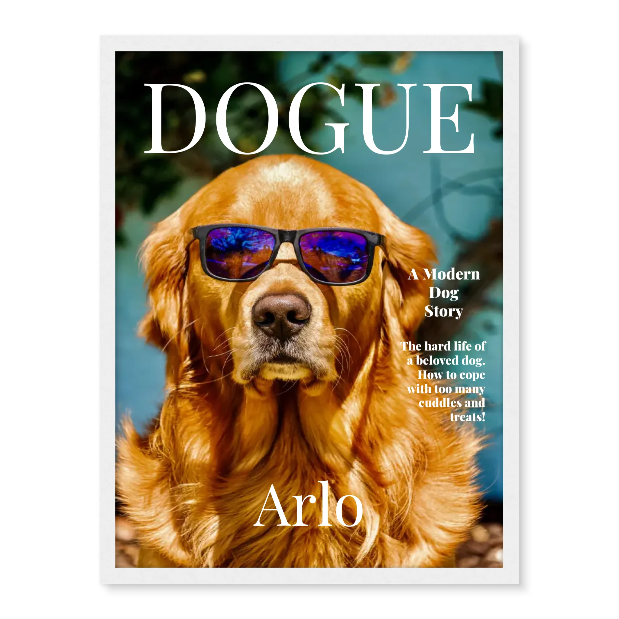 Dogue