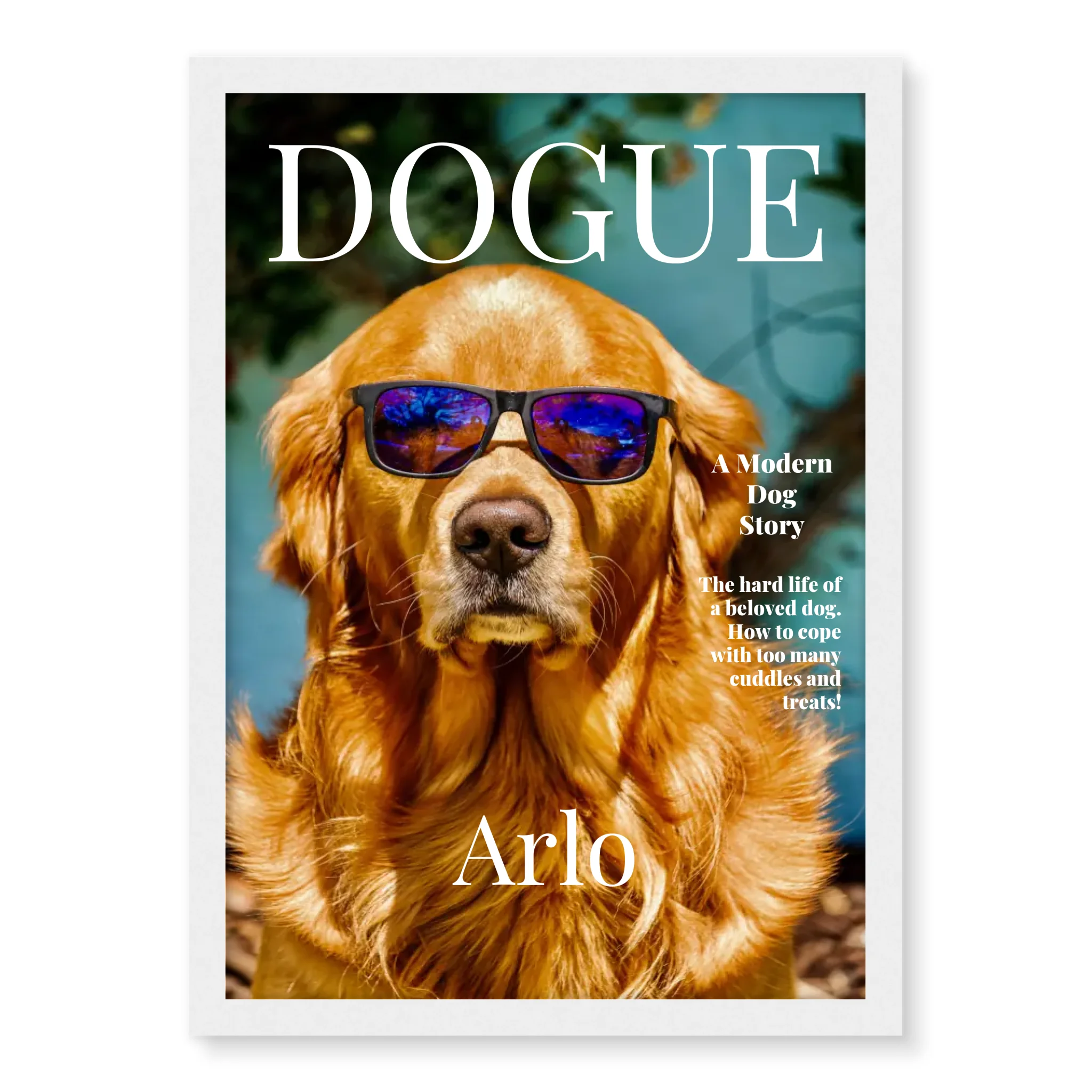 Dogue