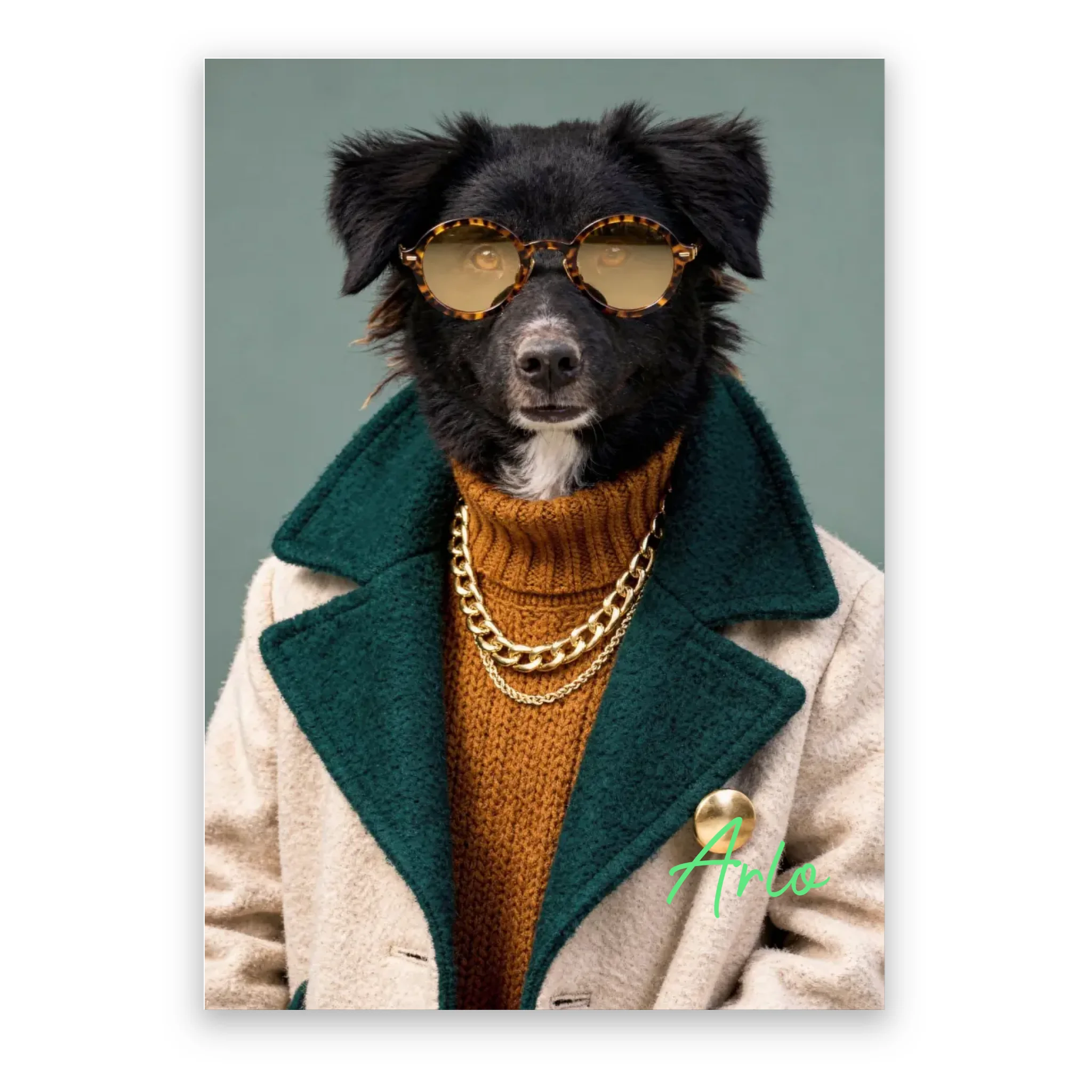 Dog with Sunglasses