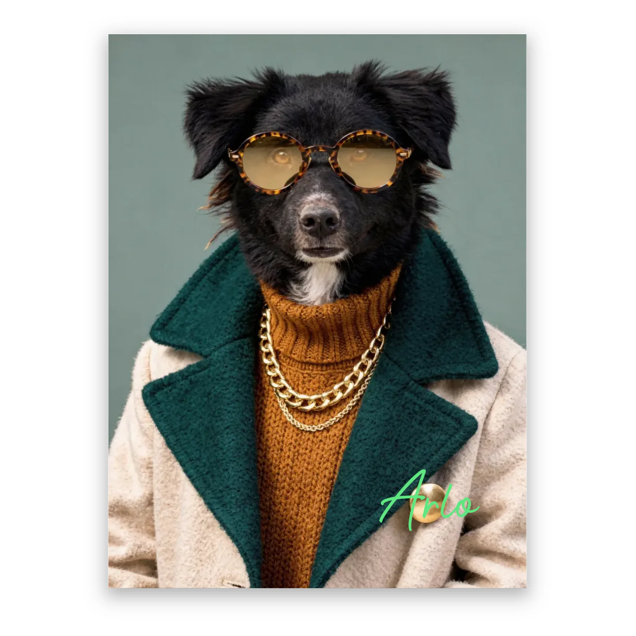 Dog with Sunglasses