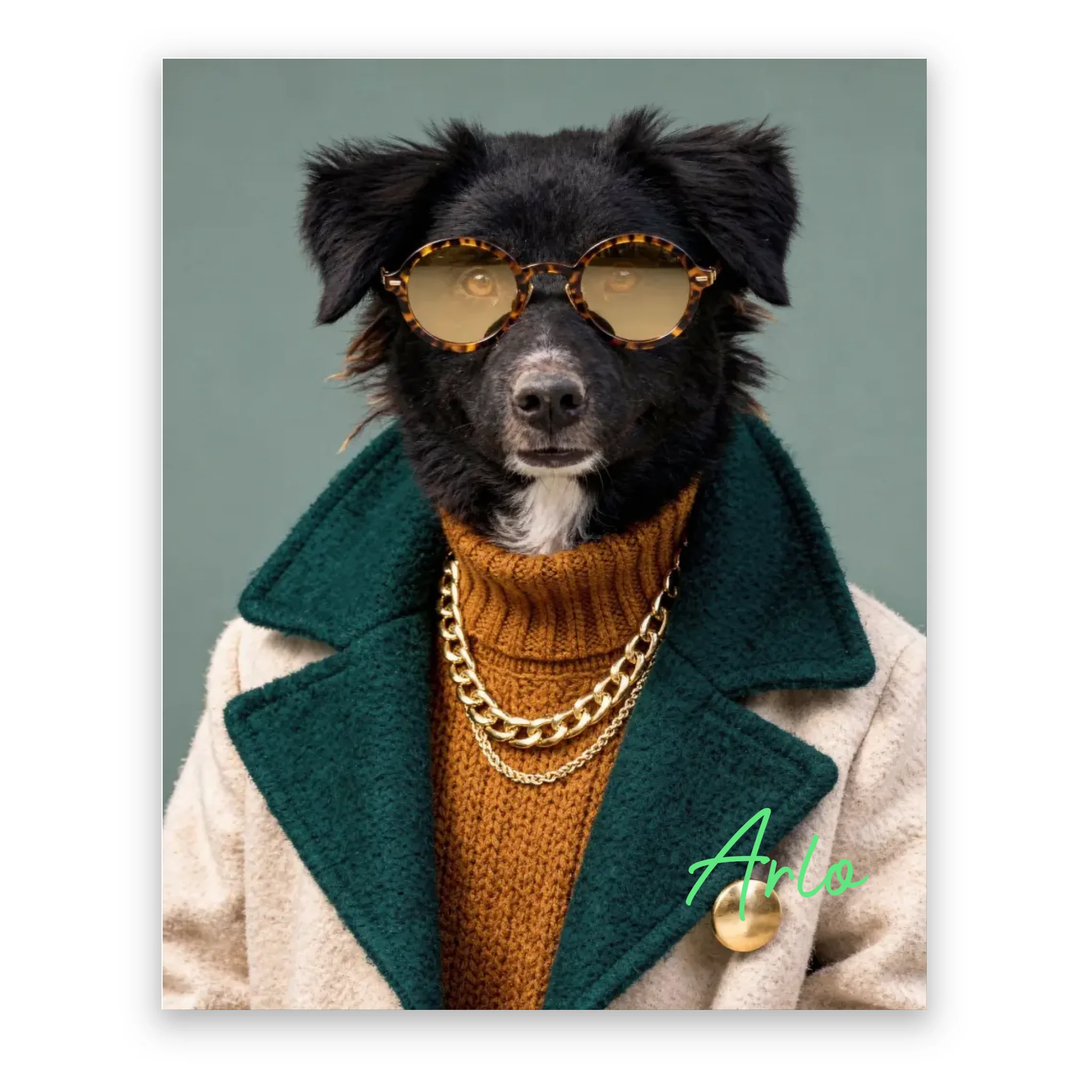 Dog with Sunglasses