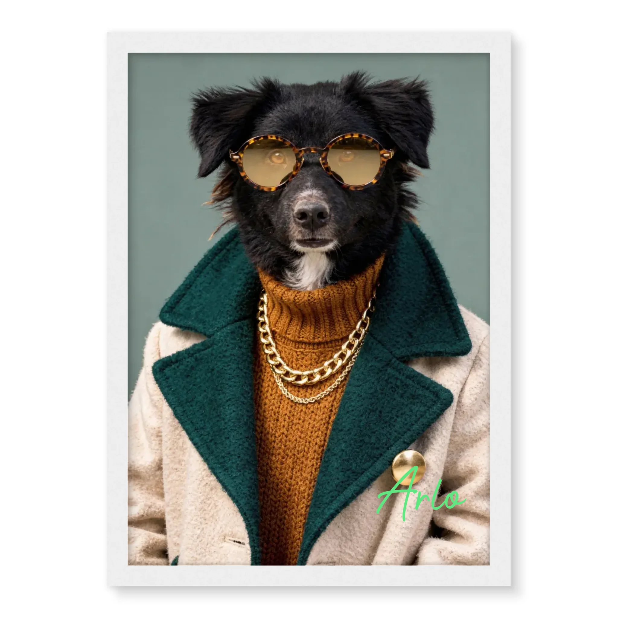 Dog with Sunglasses