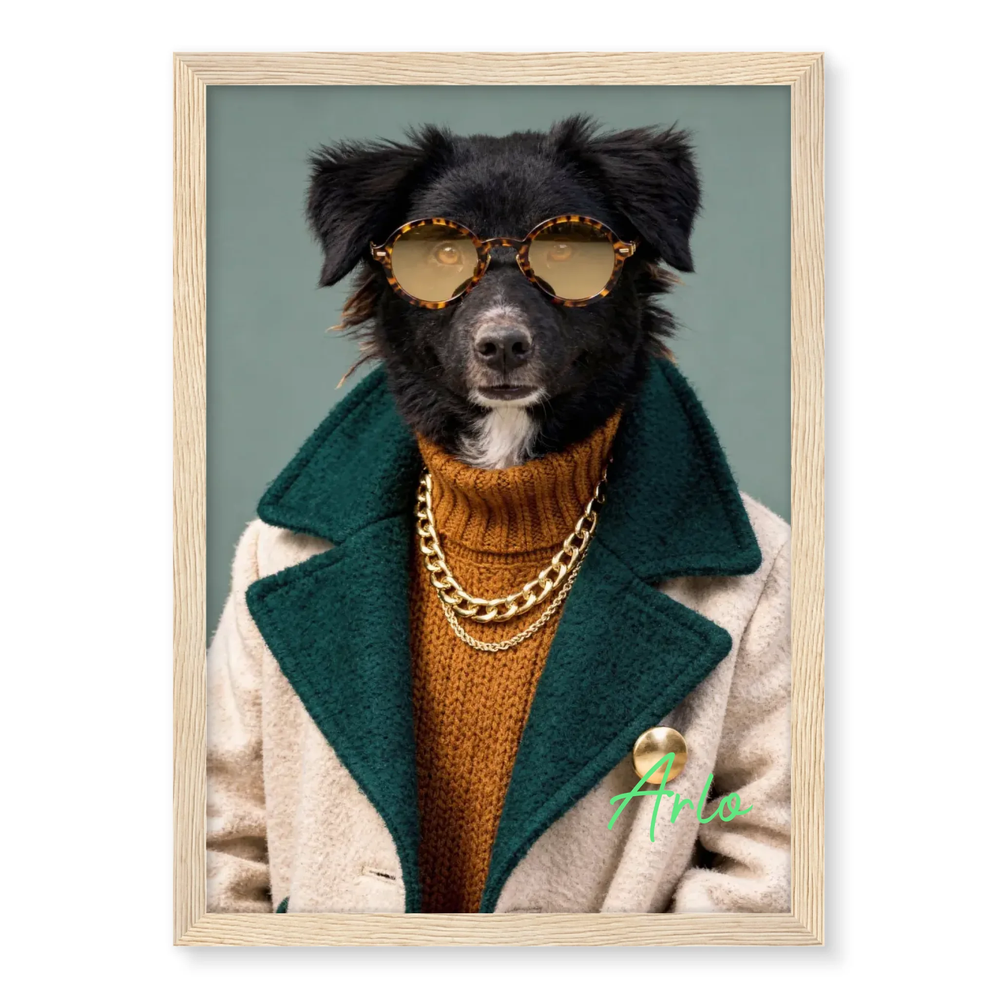 Dog with Sunglasses