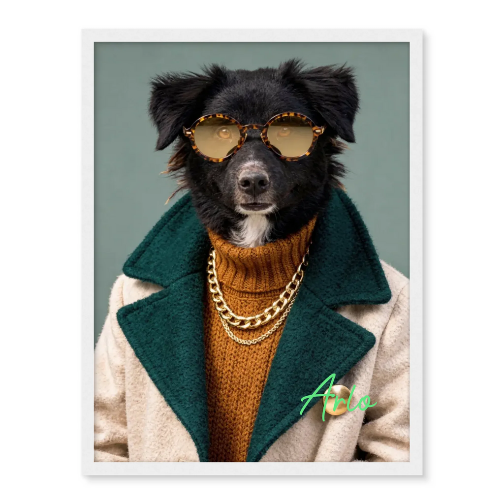 Dog with Sunglasses