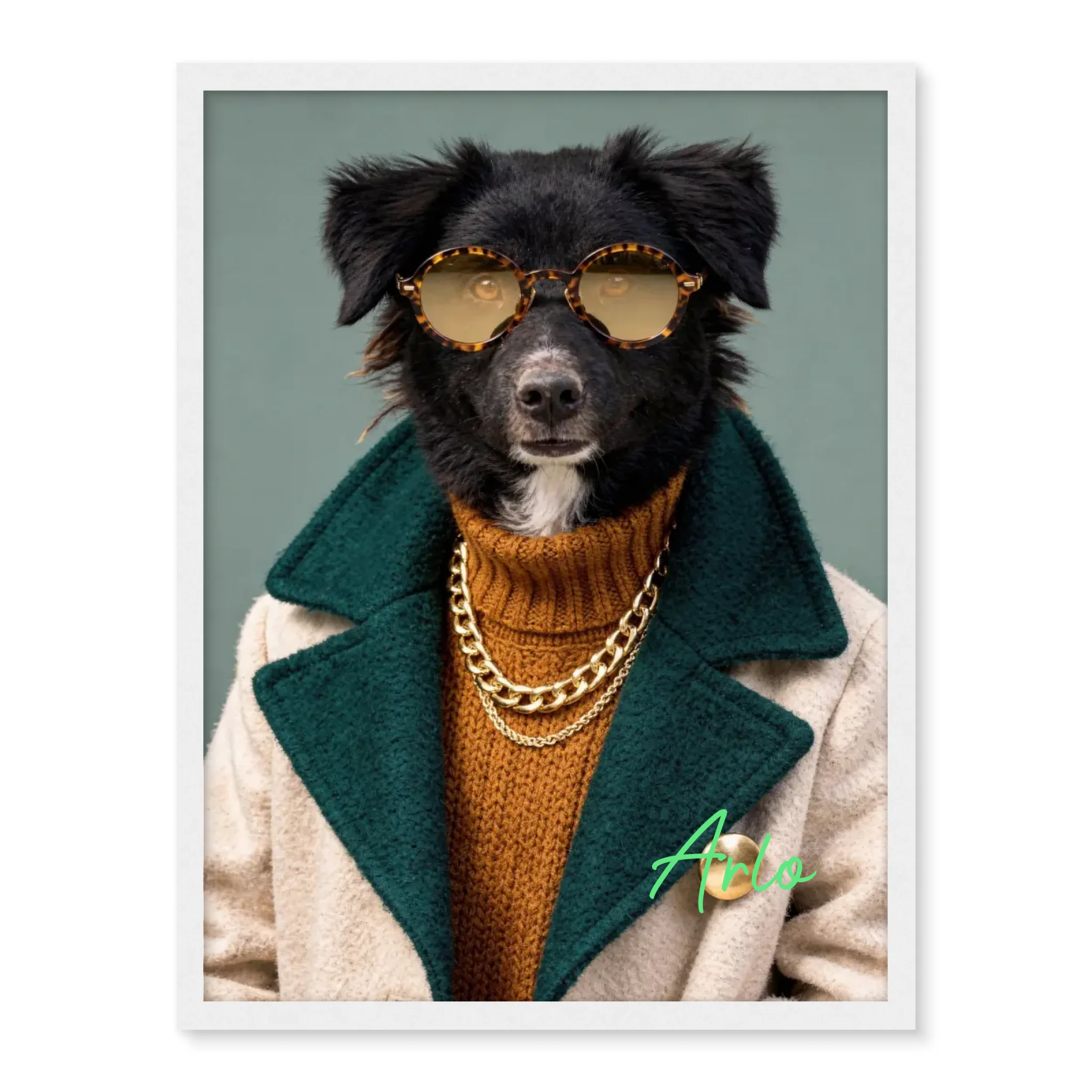 Dog with Sunglasses
