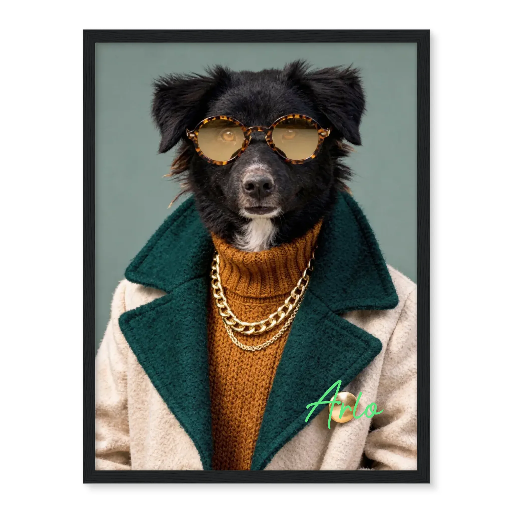 Dog with Sunglasses