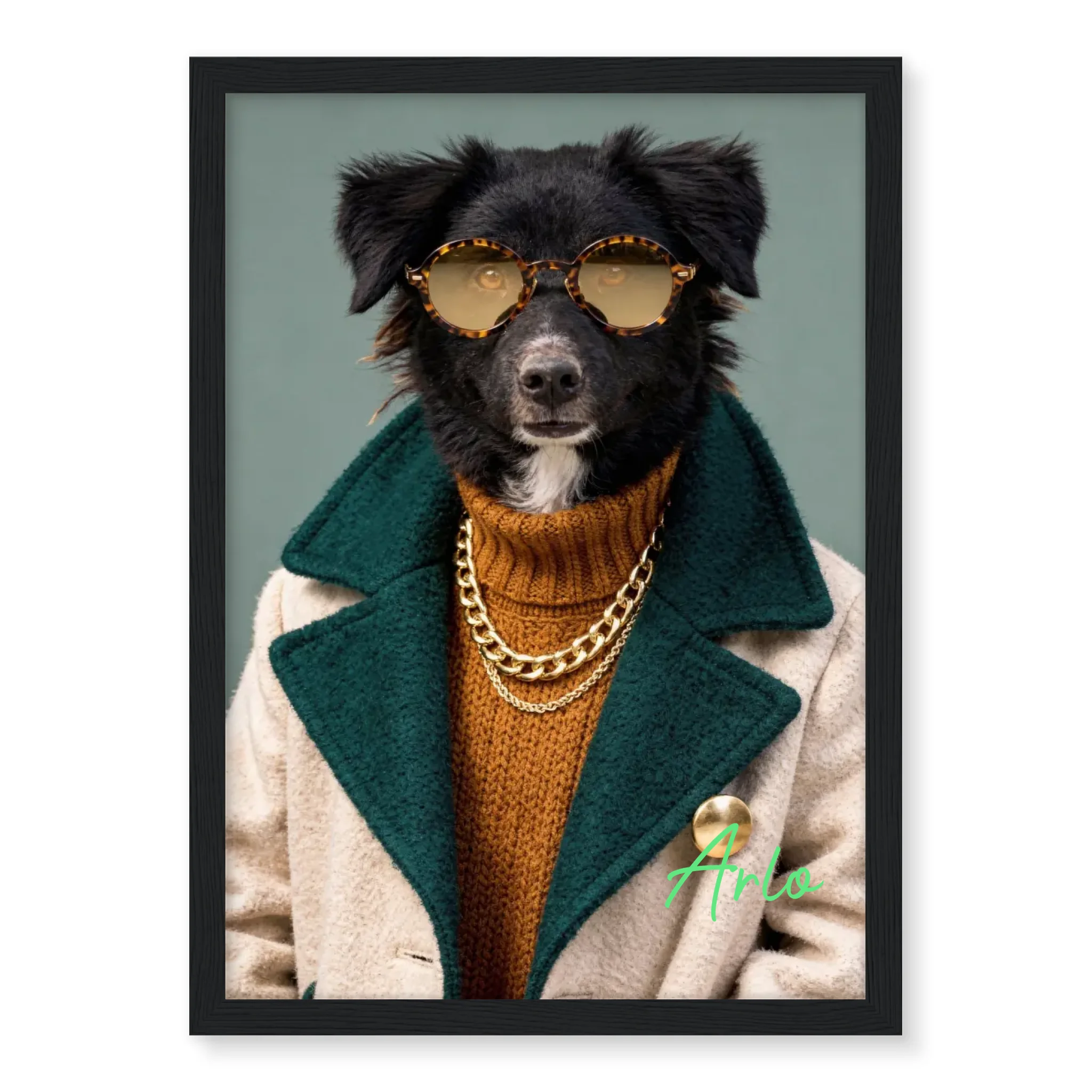 Dog with Sunglasses