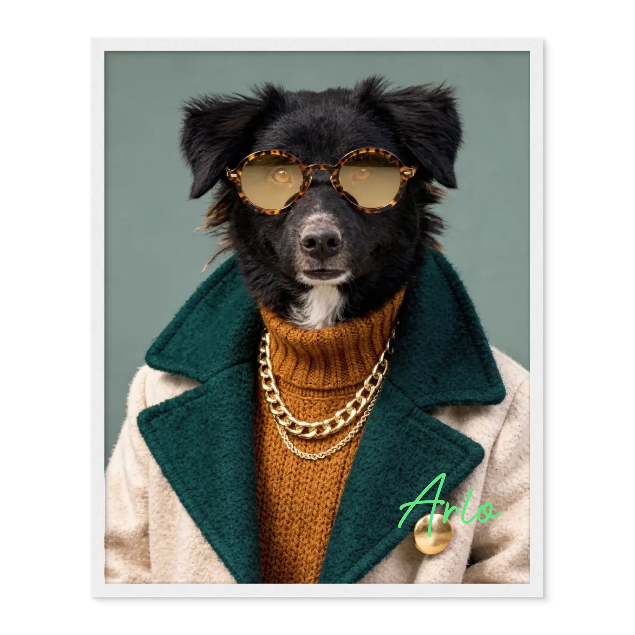 Dog with Sunglasses