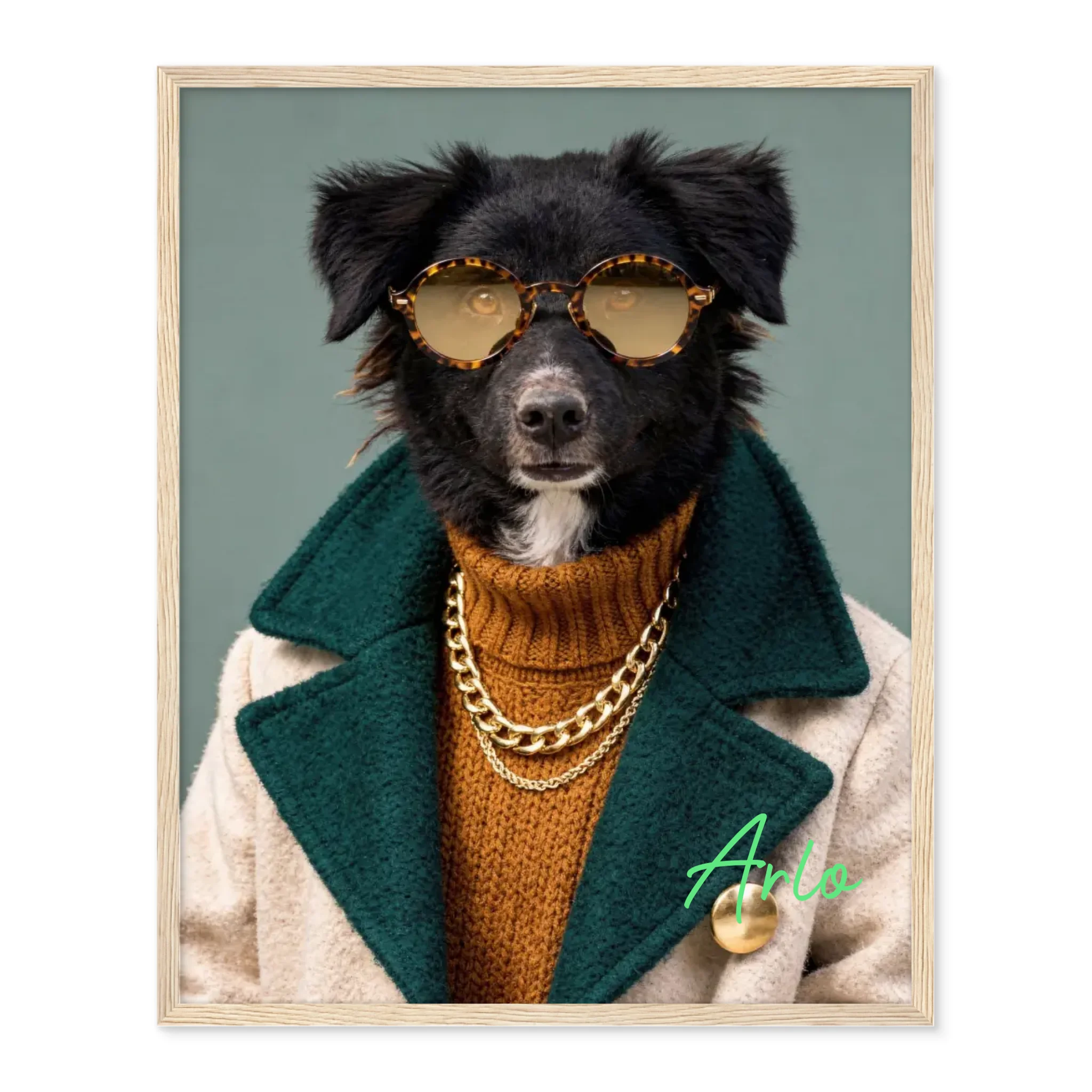 Dog with Sunglasses