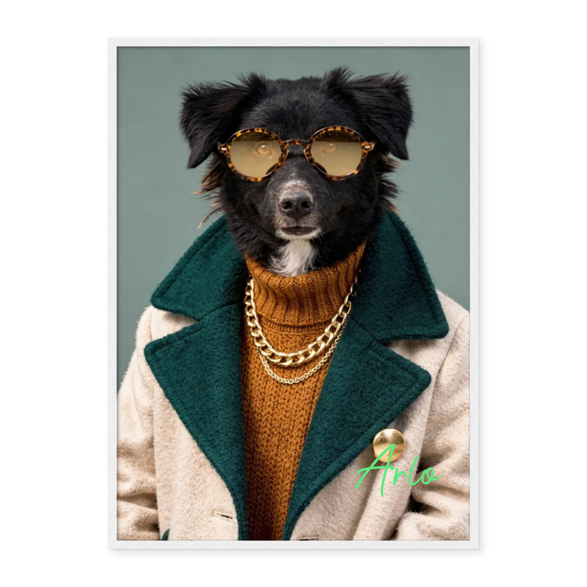 Dog with Sunglasses