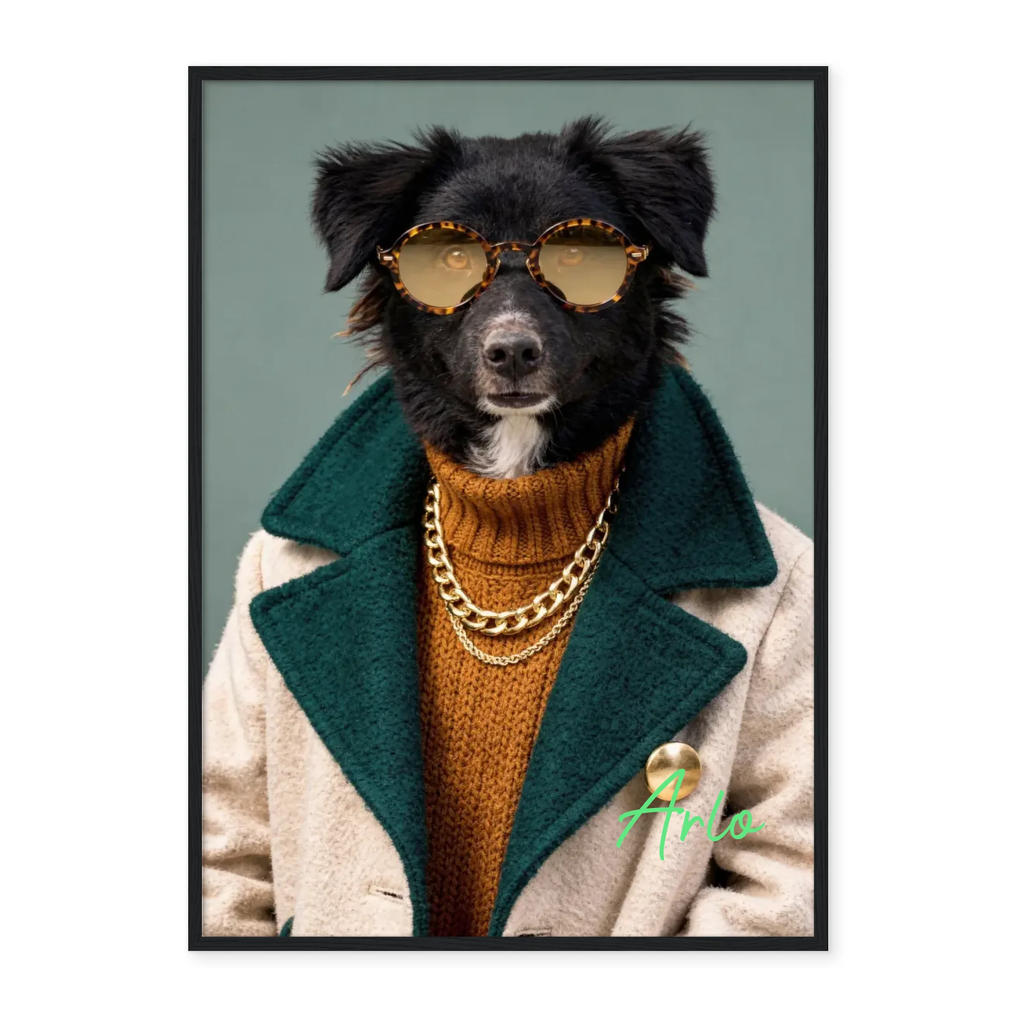 Dog with Sunglasses