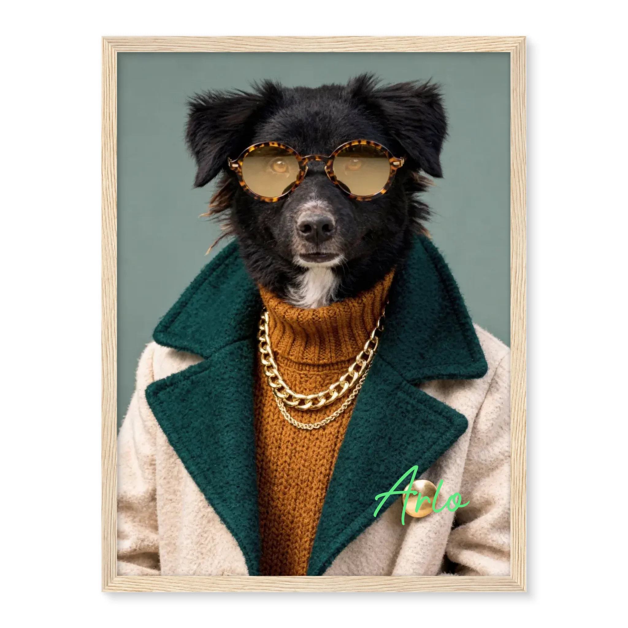 Dog with Sunglasses