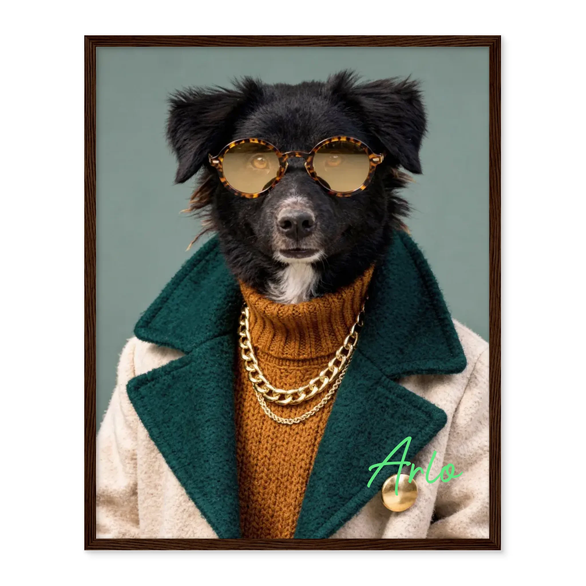 Dog with Sunglasses