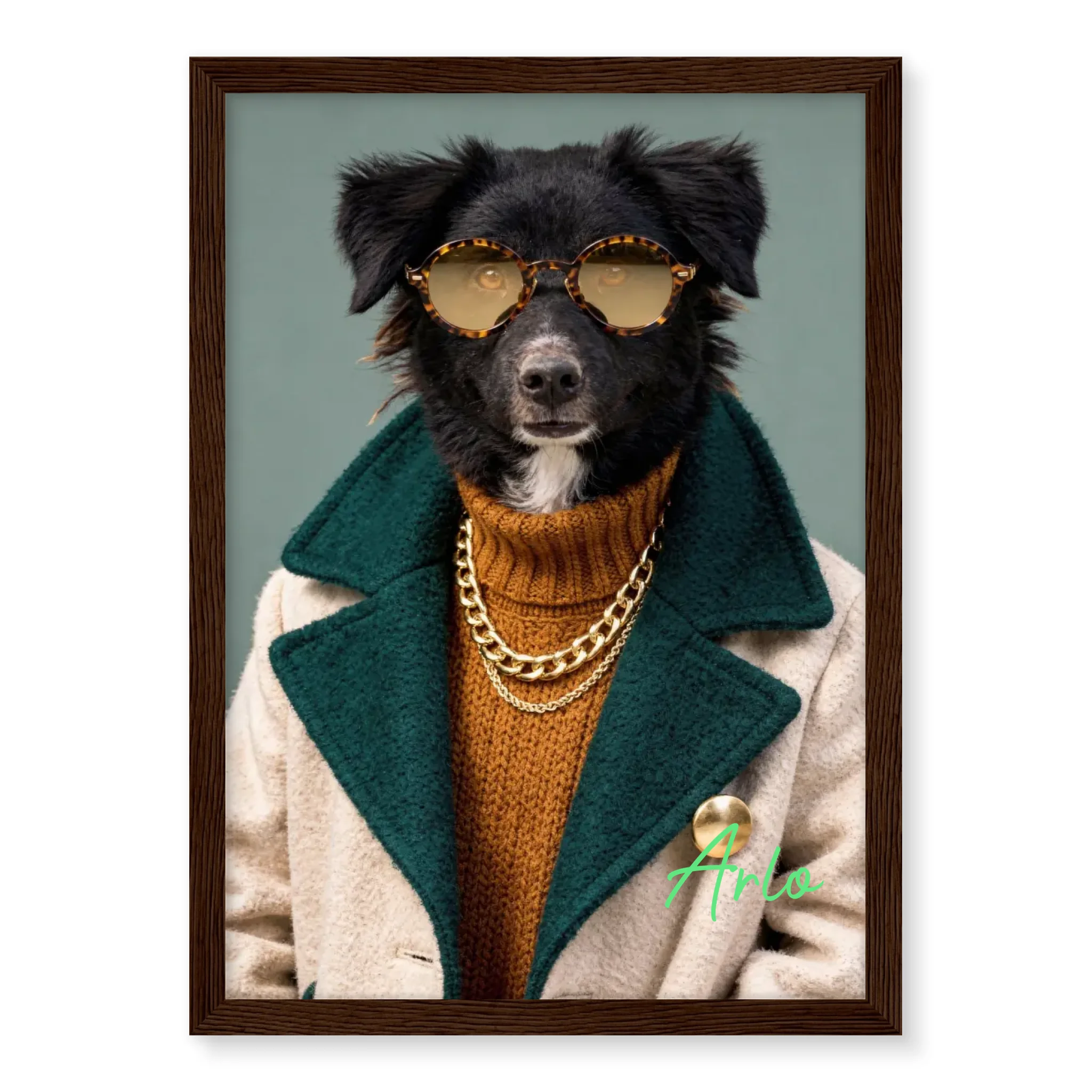 Dog with Sunglasses