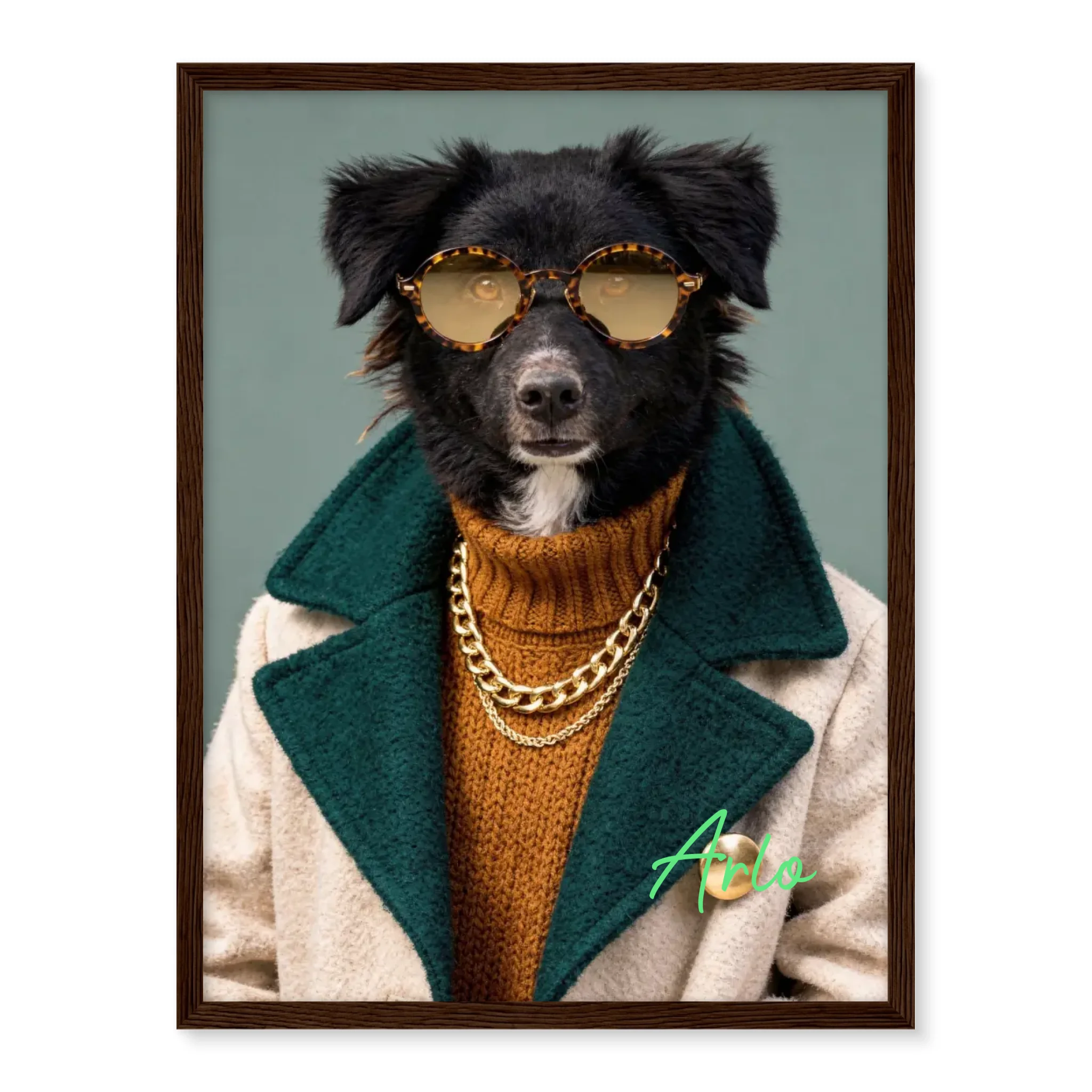 Dog with Sunglasses
