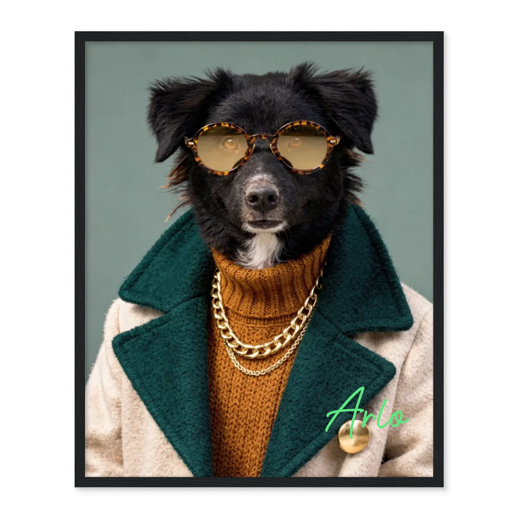 Dog with Sunglasses