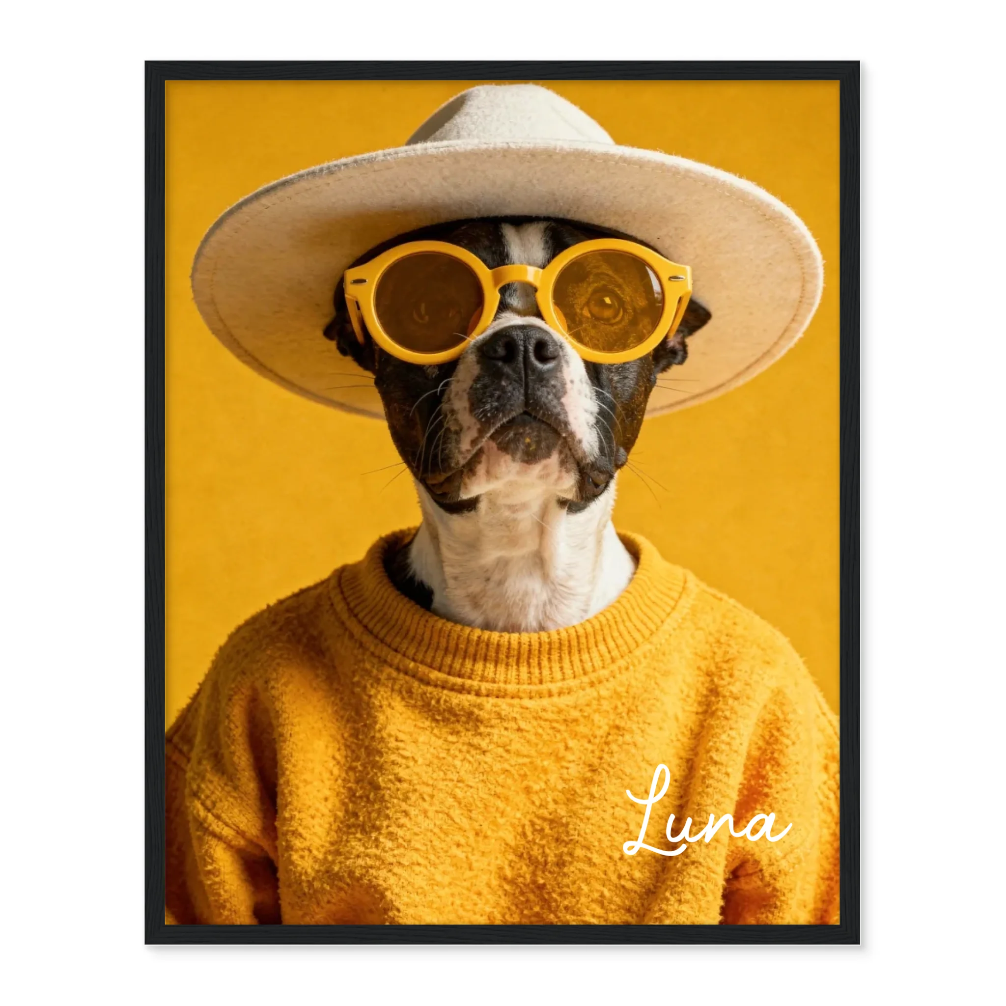 Dog Urban Chic