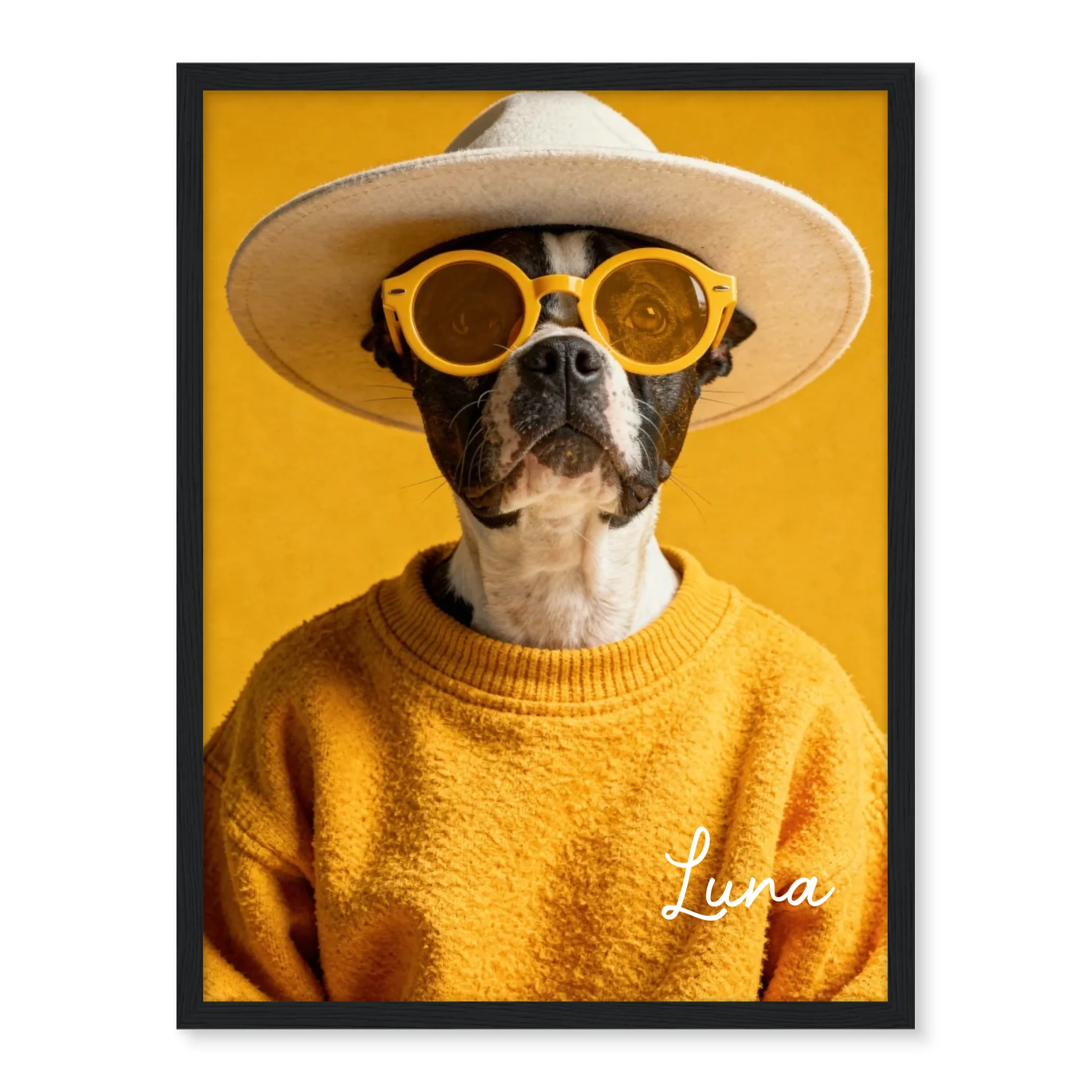 Dog Urban Chic