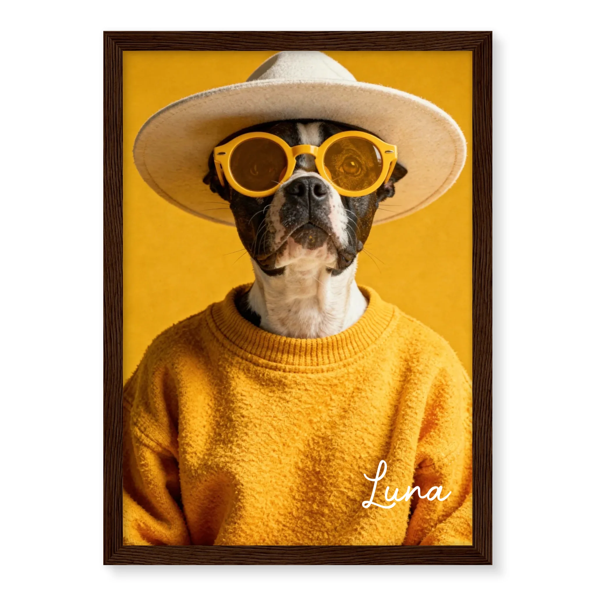 Dog Urban Chic