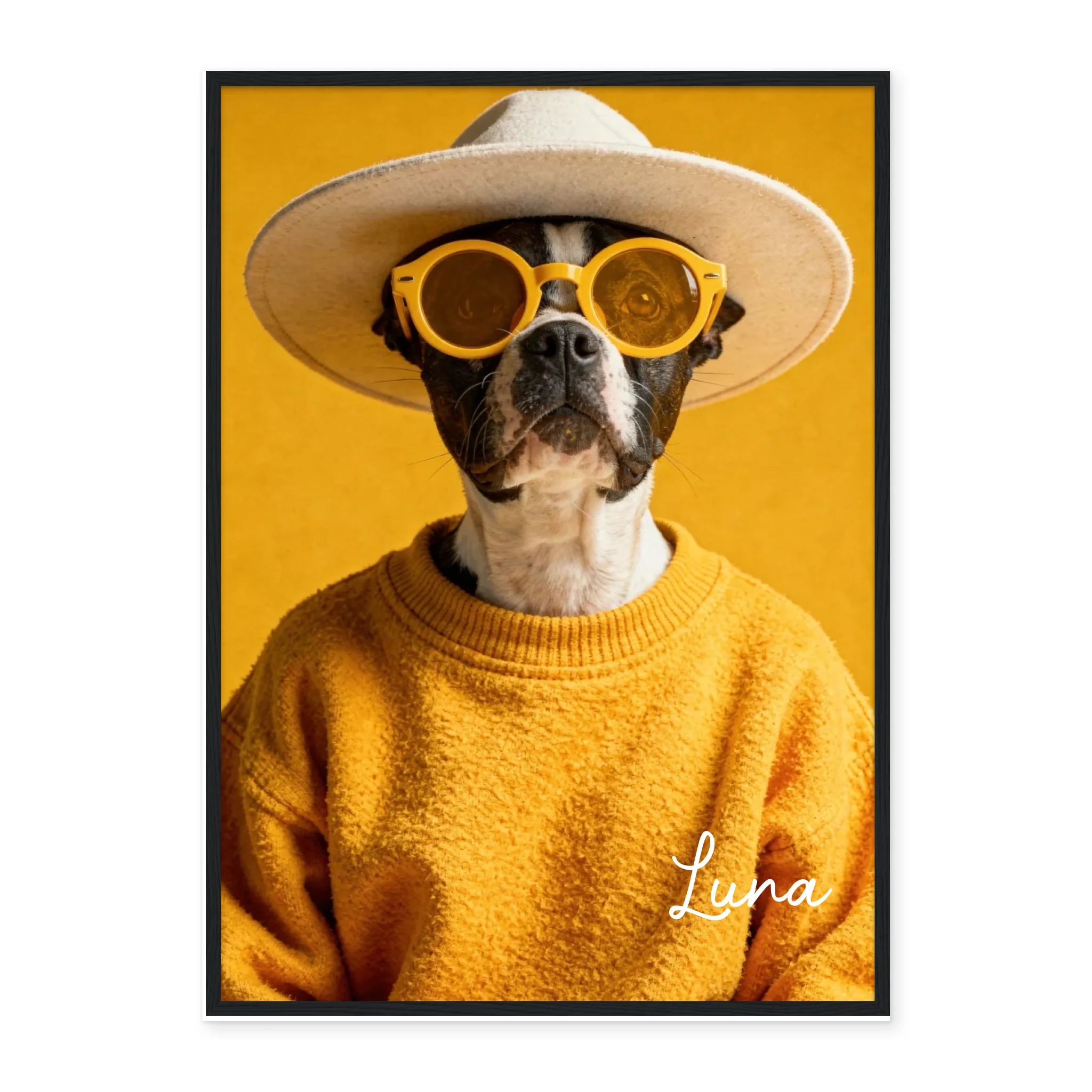 Dog Urban Chic