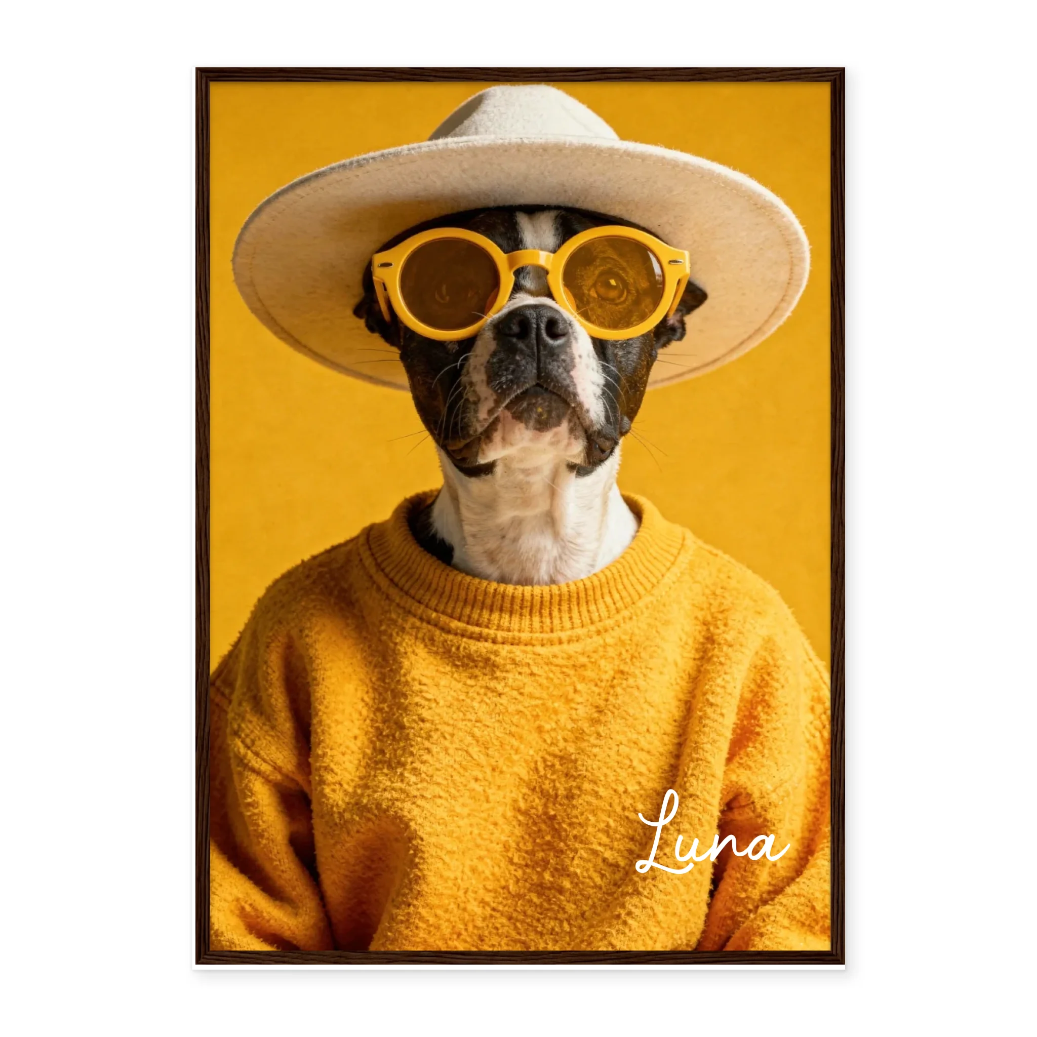 Dog Urban Chic